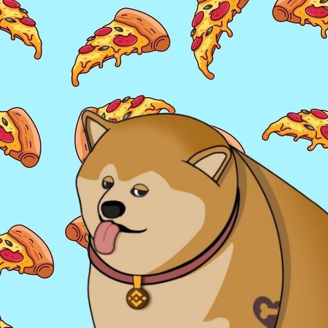 gandalfcryptto's tweet photo. I am seeing this fat dog and #chonkersinu everywhere, is this going to be the new trend? fat INUs? lol https://t.co/hCkQfUGz7U