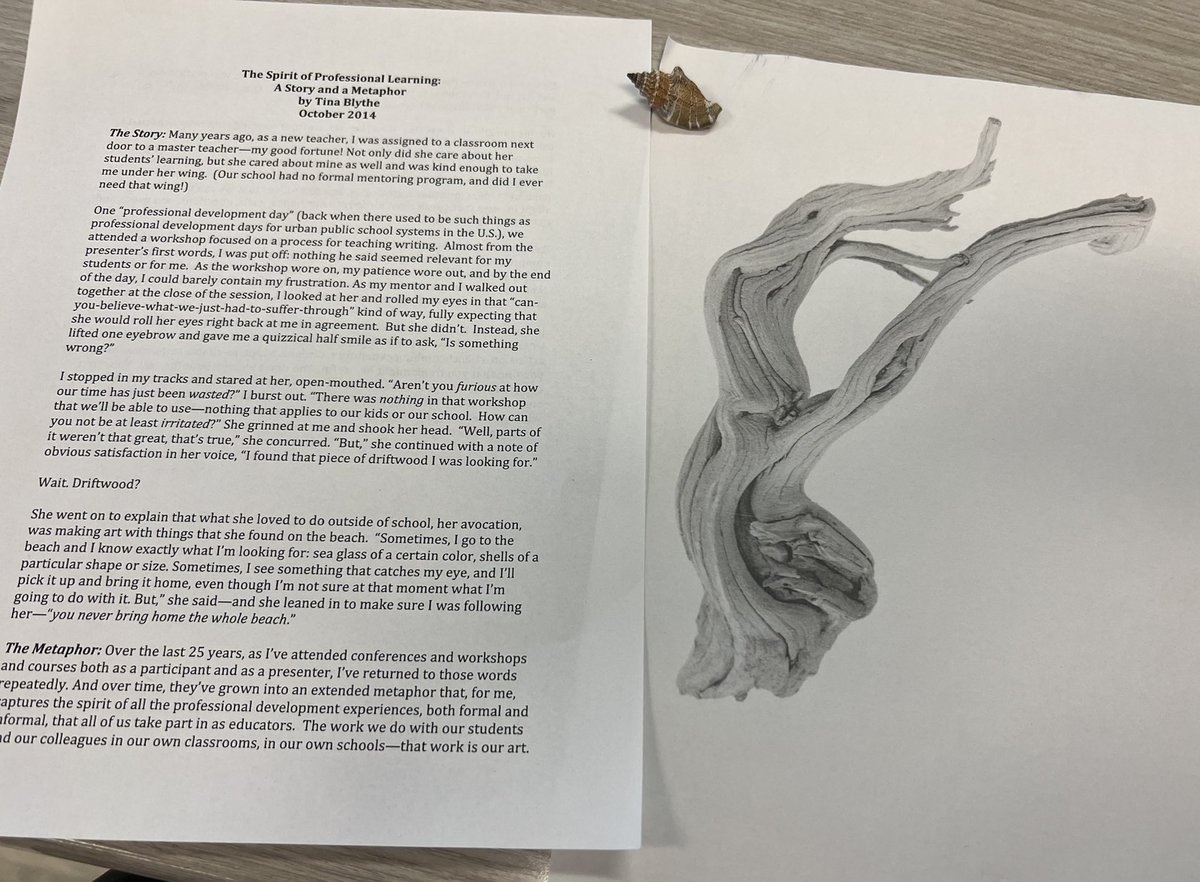 MrsBloomrose's tweet photo. Amy (@hrtobx), Ellen (@eroteaches) &amp; I led the PYP Breakout to discuss new teacher training, Exhibition &amp; the evaluation process! We cannot take the whole beach but we can take a piece of driftwood (in our case, a shell). @anesmustangs @ibpyp @PwcsSpecialty @IBMidAtlantic https://t.co/Sf2ZvwQLWs