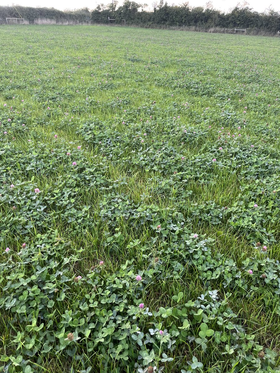 George Sturla tweet media