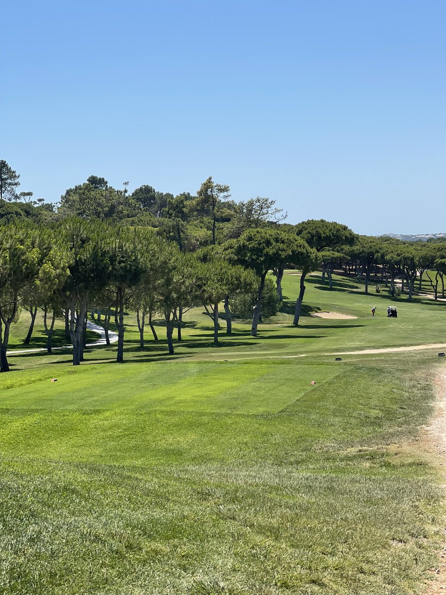 Scott McLear tweet media