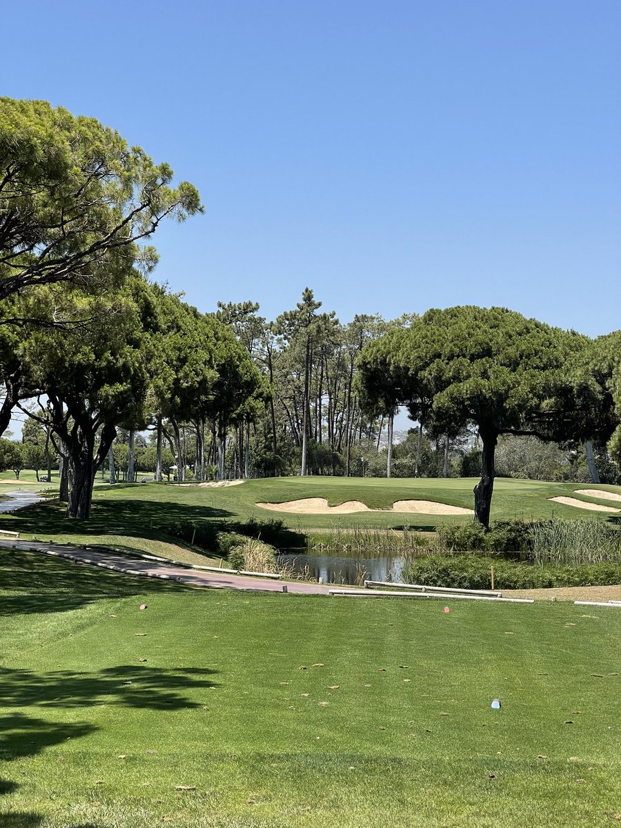 Scott McLear tweet media