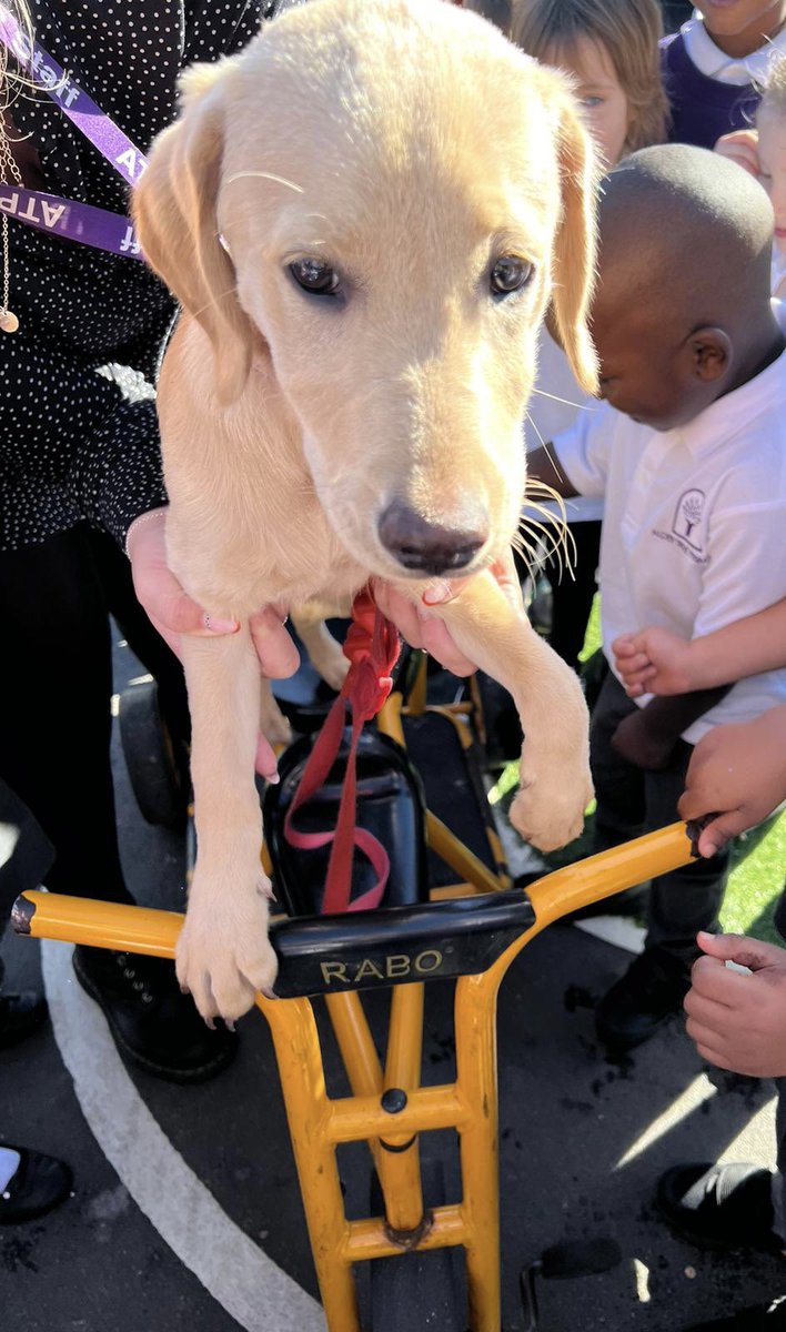 Emily Griffiths tweet media