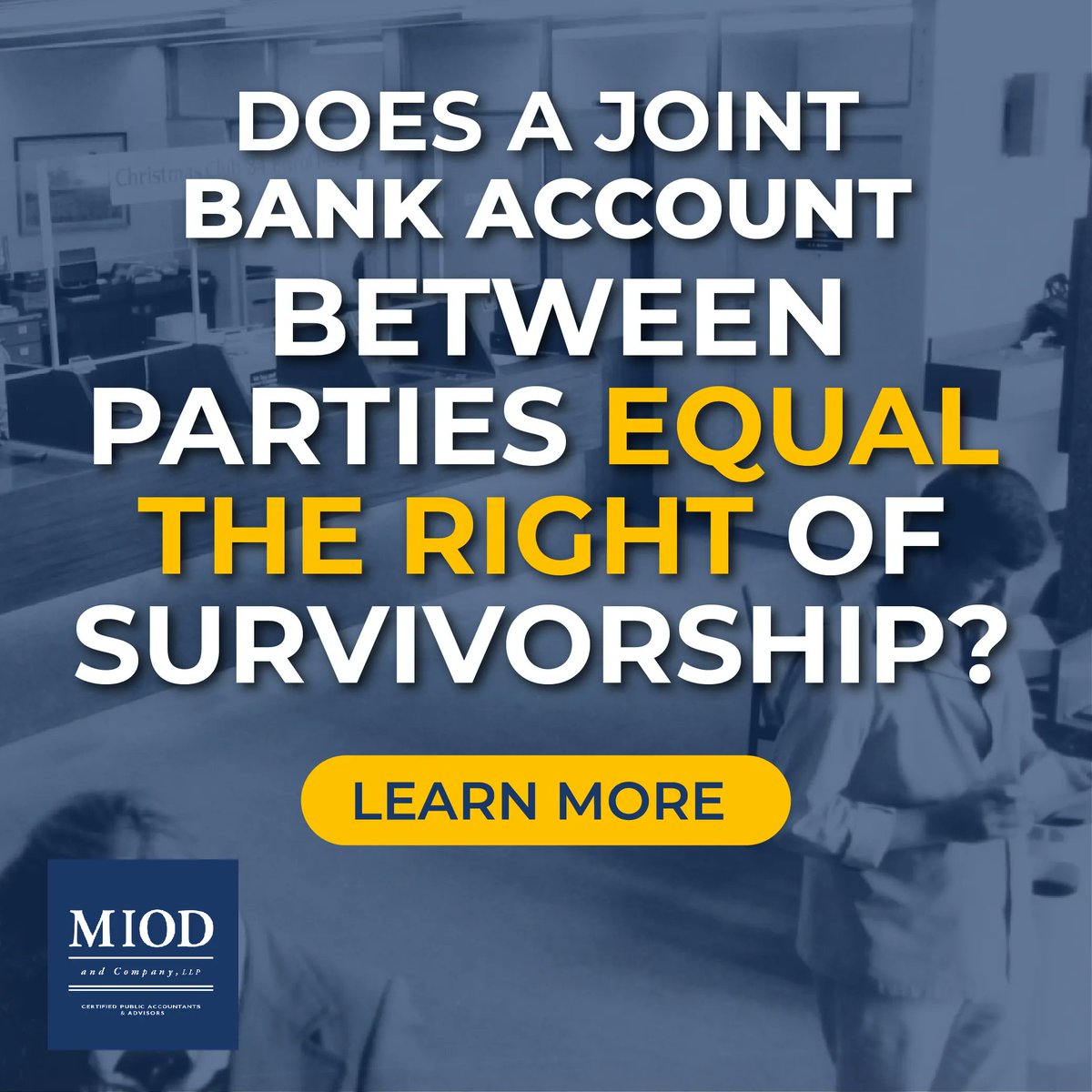 Miod and Company tweet media