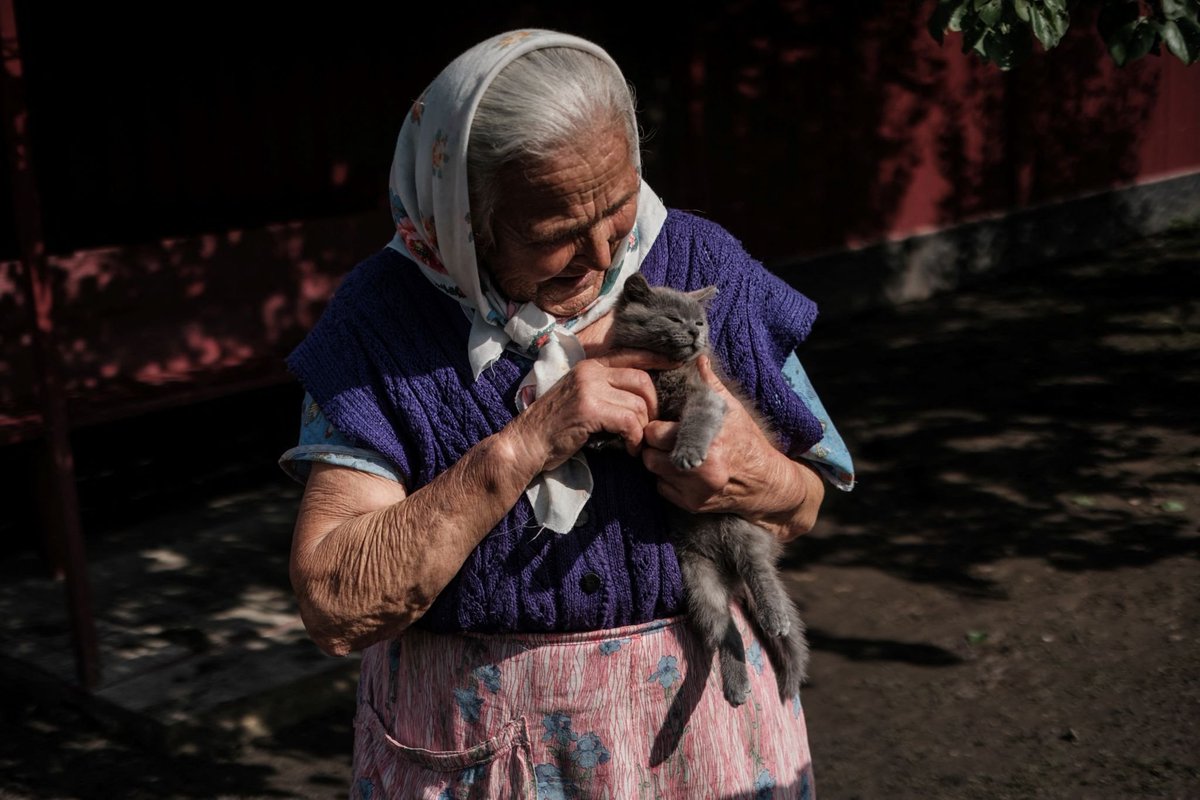 Feline Defence Force 🇺🇦 tweet media
