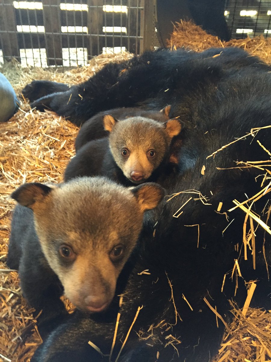 Marcella J. Kelly tweet media