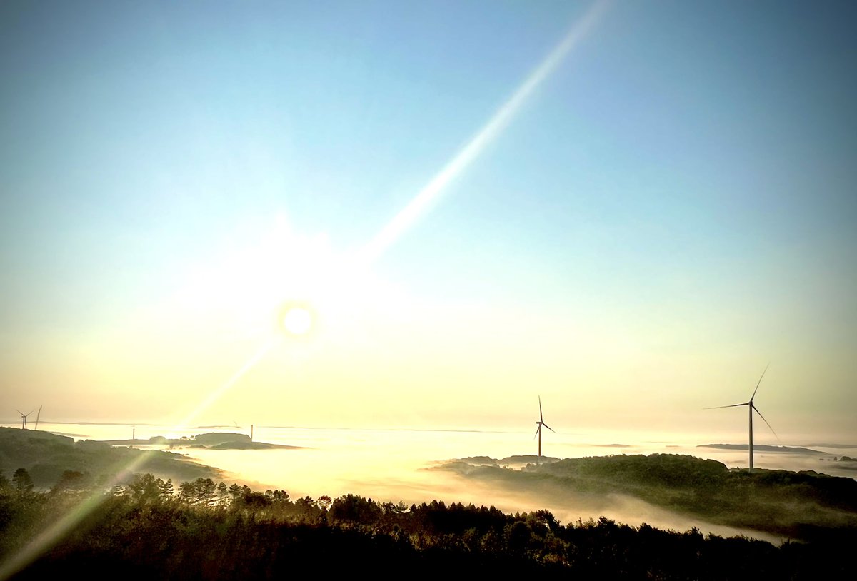 Total Boring Solutions tweet media