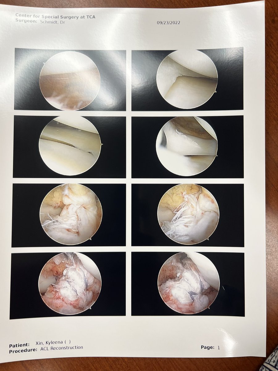 Kyleena Xin tweet media