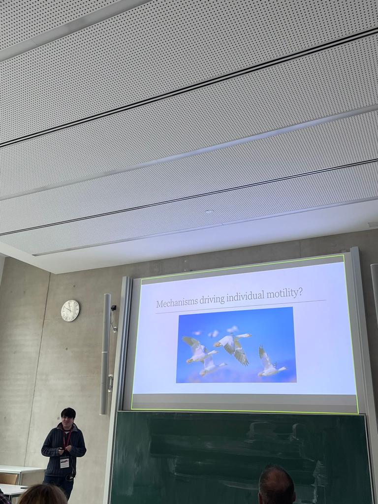 M3s (B. Hatzikirou) (@m3sbiomath) on Twitter photo Today was our Mini-Symposium regarding the combination of machine learning and mechanistic modeling organized with Andreas Deutsch. Excellent talks by <a href="/CBigarre/">Célestin BIGARRÉ</a>, <a href="/simonmape/">Simon Martina-Perez</a>, Dimitris Goussis and Josue Manik Sedeno! Thanks a lot <a href="/ecmtb2022/">ECMTB2022</a> organizers for the great conference! Today was our Mini-Symposium regarding the combination of machine learning and mechanistic modeling organized with Andreas Deutsch. Excellent talks by <a href="/CBigarre/">Célestin BIGARRÉ</a>, <a href="/simonmape/">Simon Martina-Perez</a>, Dimitris Goussis and Josue Manik Sedeno! Thanks a lot <a href="/ecmtb2022/">ECMTB2022</a> organizers for the great conference!
