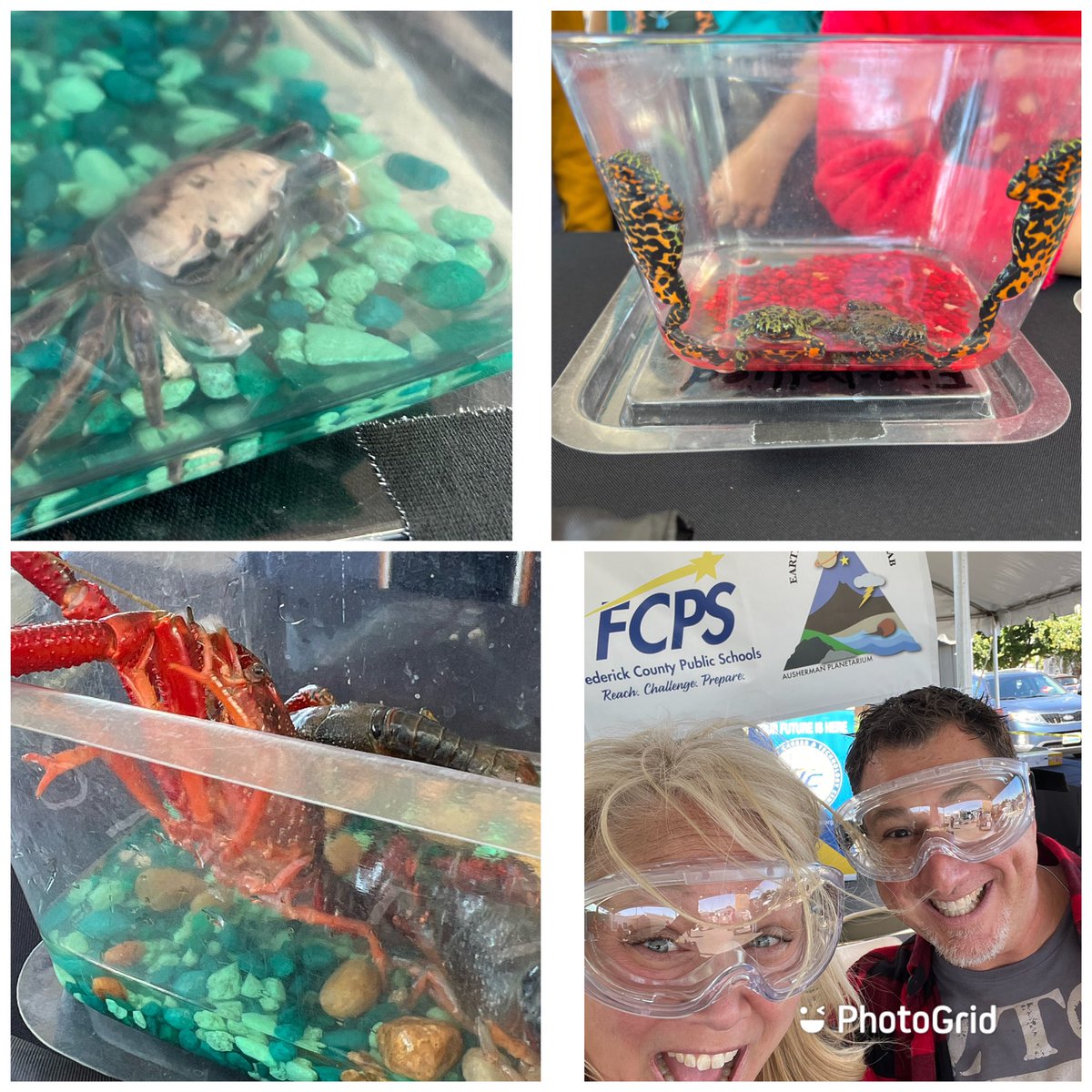 Kendra Hinson tweet media