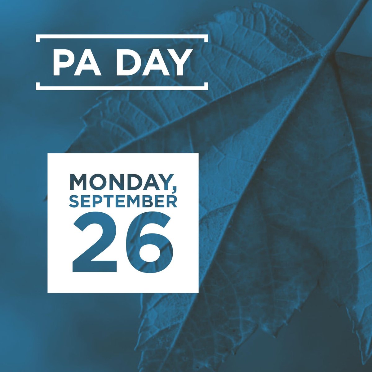 CouncilWillow's tweet photo. PA Day reminder!!! This Monday, September 26, 2022!!! https://t.co/Y9uqDLpFuj