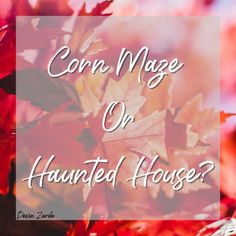 bridgetNsusie's tweet photo. CLAN It’s #FinallyFallYall!!
Everything today has to do with Our favorite Season... FALL!
Which one would you choose?
@ZoeyCatBell @shawsome872
@SusieQZeeLove
#TheBridgetLisaNSusieShow #KindnessStartsWithASmile https://t.co/b0LW6ThVVo