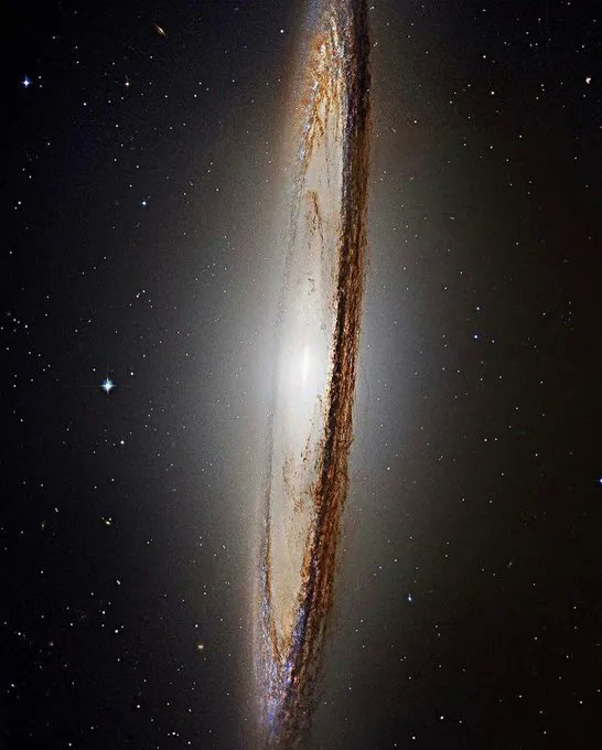 konstructivizm's tweet photo. The Sombrero Galaxy
credit: Hubble
More: https://t.co/zGsAJx4az3 https://t.co/TOhNXX5jsE