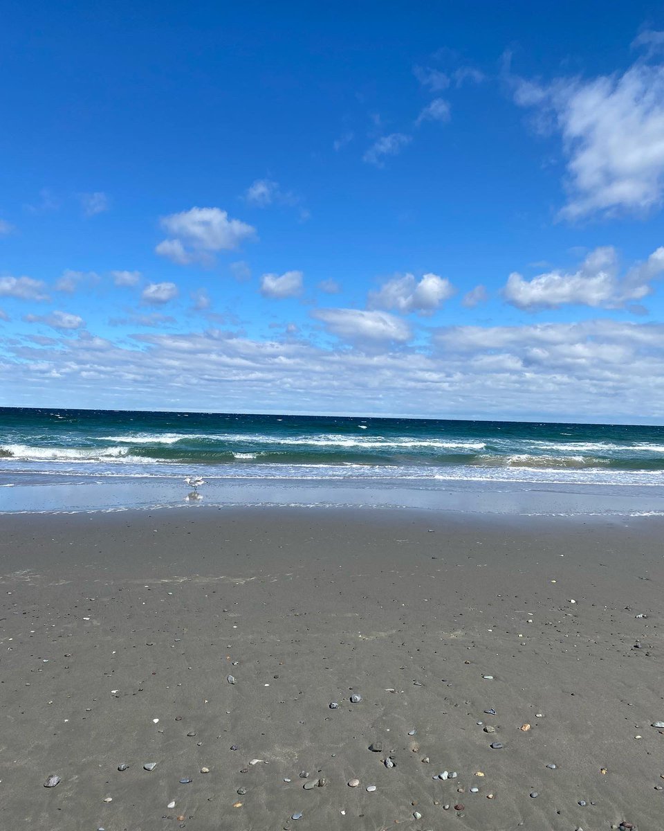 SensMus's tweet photo. #beach #nature #creation #autumn https://t.co/GceUJ0n5Kv