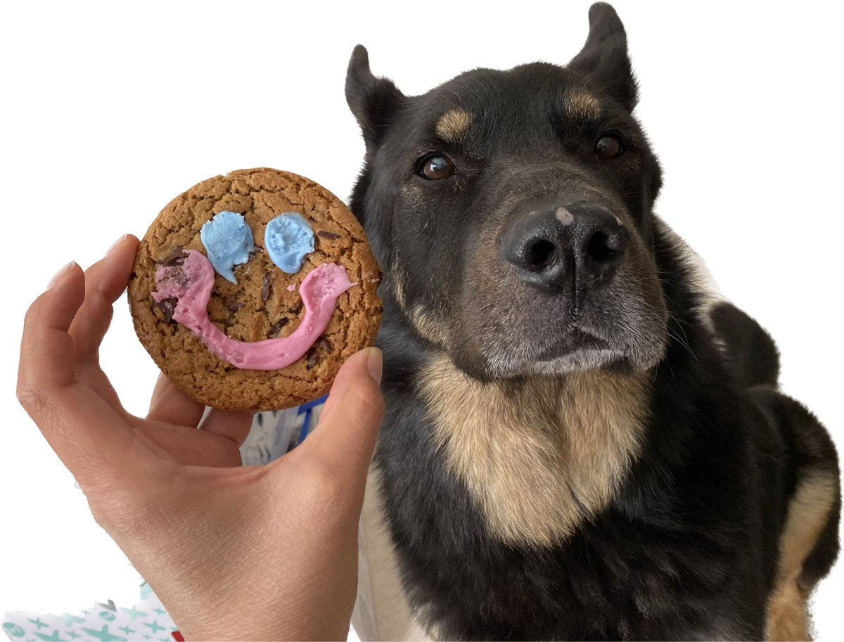 Got my annual smile cookie from <a href="/TimHortons/">Tim Hortons</a>.