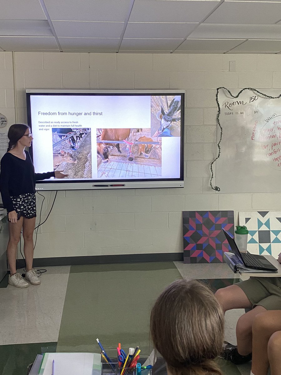 Herkimer_Ag's tweet photo. Animal Science #students today @HerkimerCSD demonstrated their knowledge of the 5 Freedoms of Animal Welfare by sharing housing projects. Using digital or physical structures they justified farmers choices in setting up their farms. Great job! #AgricultureEducation #Herkpride https://t.co/QBL3zME612