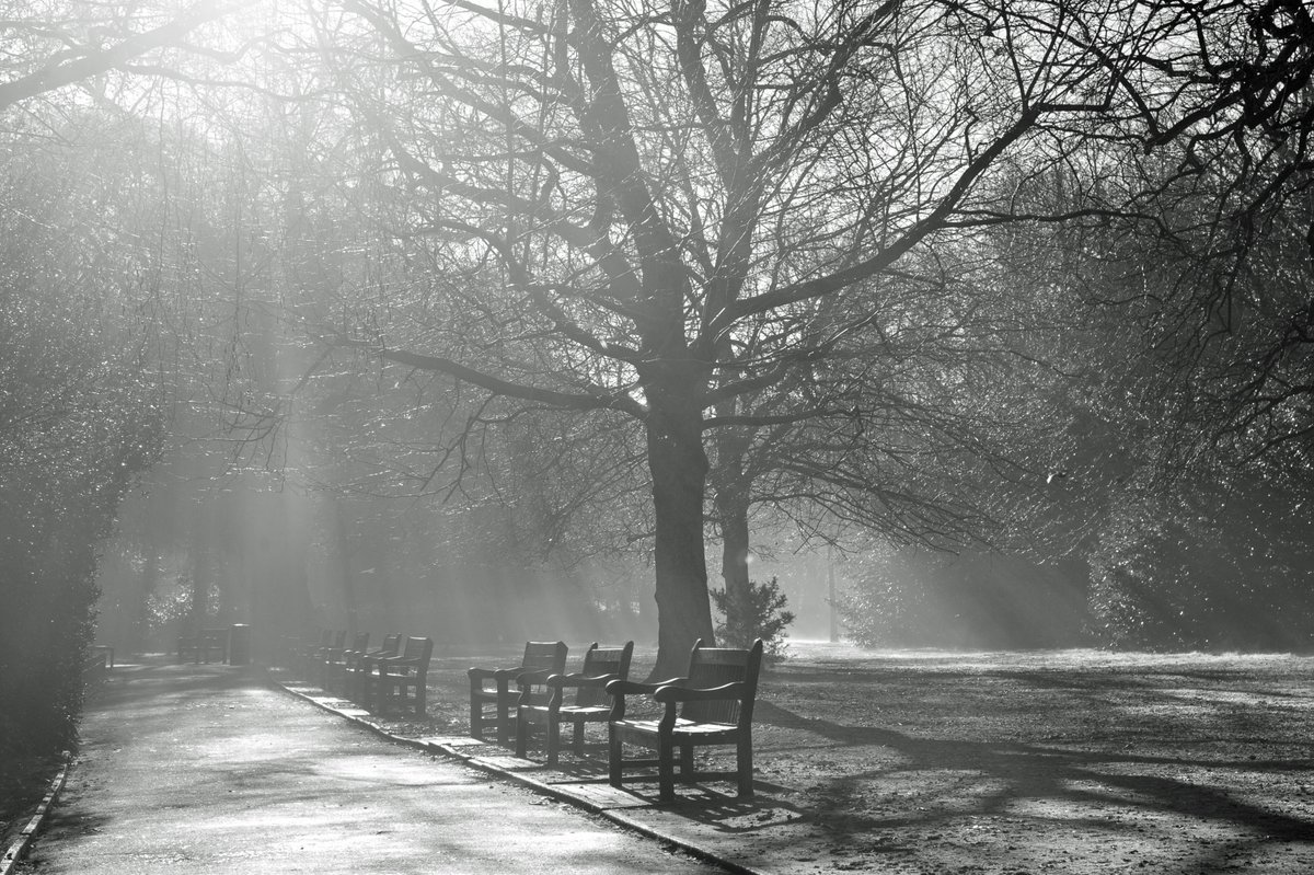 Simon Arron 🇪🇺 tweet media