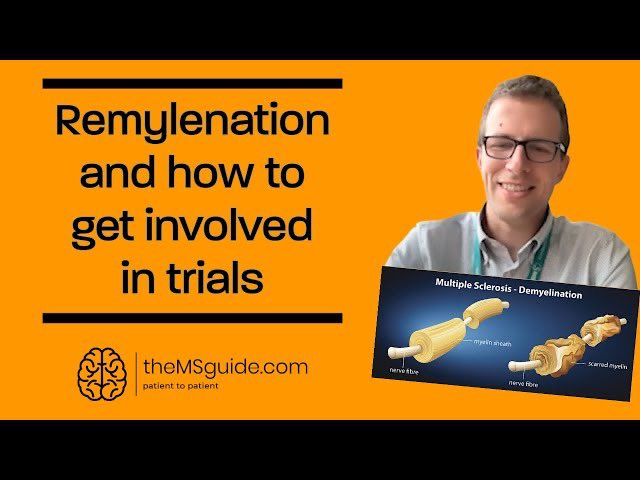 theMSguide.com 🧠 tweet media