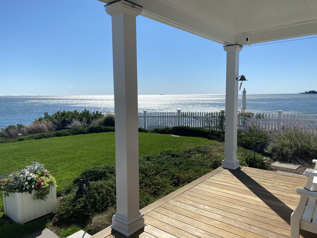 Julieann Collins tweet media