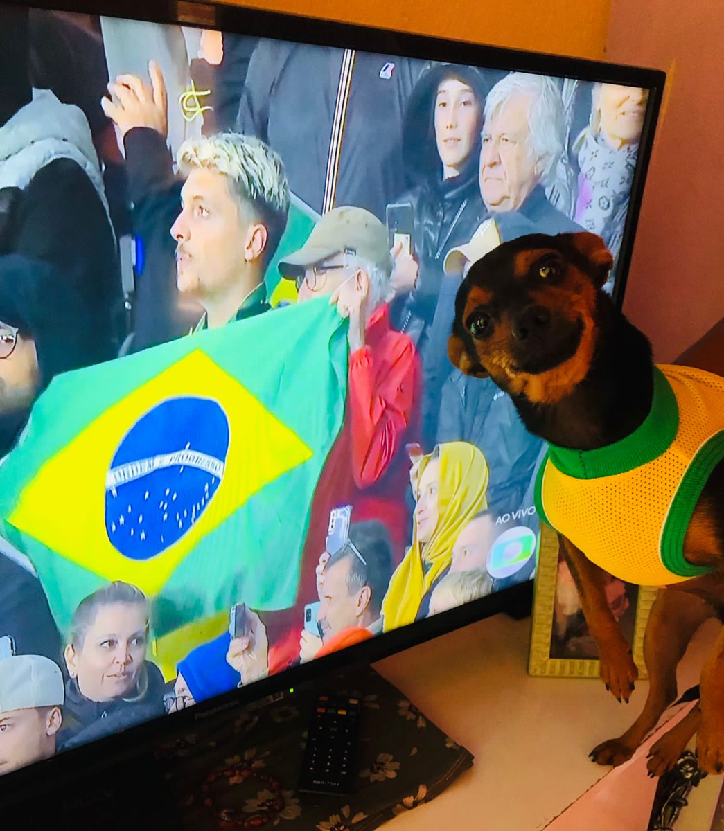 bailanze's tweet photo. Brasil jogando a: 
Eu: 
Vamo Brasil
#Gana https://t.co/3t3Raj7sI2