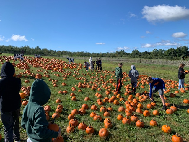 Cooper6Sms's tweet photo. The weather was perfect today (albeit a little chilly) for our trip to @OuthouseOrchard! Cooper 6 students and teachers bonded while navigating a corn maze, picking some apples/pumpkins, taking a hayride, and getting a lesson on bees. The honey was delicious! #scarsdalemspride https://t.co/qbkOkmuecM
