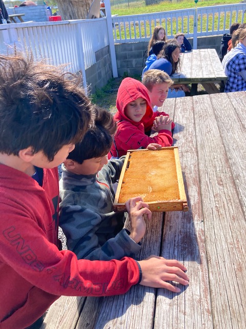 Cooper6Sms's tweet photo. The weather was perfect today (albeit a little chilly) for our trip to @OuthouseOrchard! Cooper 6 students and teachers bonded while navigating a corn maze, picking some apples/pumpkins, taking a hayride, and getting a lesson on bees. The honey was delicious! #scarsdalemspride https://t.co/qbkOkmuecM