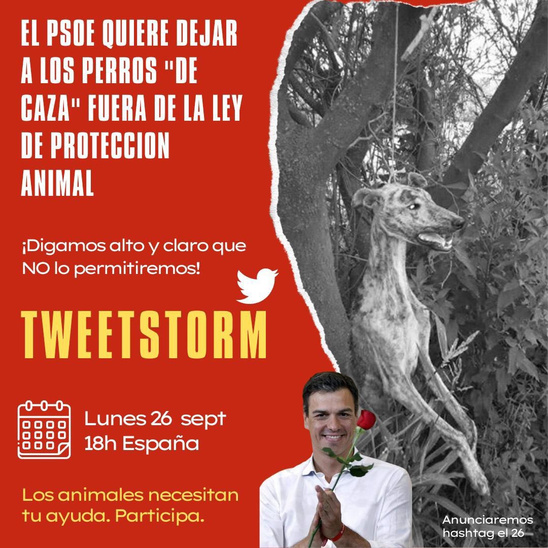 😡¿No quieres que excluyan a los perros "de caza" de la nueva Ley? Pues ¡ACTÚA!
🐦⚡ÚNETE AL TWEETSTORM
🗓️ 26/9⏰18h
⚖️ Por un Ley de Protección Animal SIN EXCEPCIONES
👊Exige al <a href="/PSOE/">PSOE</a> que retire la enmienda 
<a href="/sanchezcastejon/">Pedro Sánchez</a> ¡TODOS LOS PERROS  PROTEGIDOS!
#️⃣ Se dirá horas antes