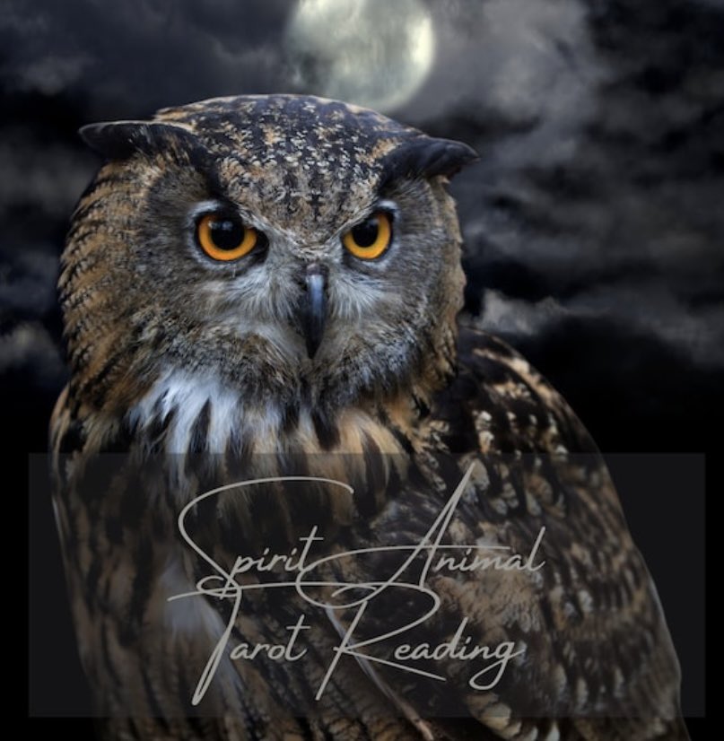 SpellMaven's tweet photo. I am an experienced tarot reader and empath and my only goal is to help you answer your questions.

https://t.co/g21UIOUHLH

#tarot #tarotreading #samedayreading #spirit #animalspirit #spiritguide #YESorNO https://t.co/271IRIk7kx
