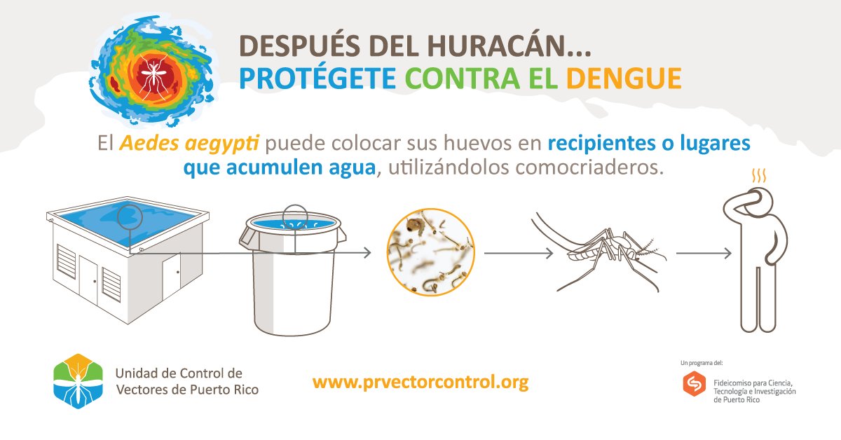 PRVectorControl's tweet photo. Después de un huracán o tormenta, aumenta la cantidad de mosquitos y los virus que estos trasmiten. Es momento de revisar el interior y los alrededores de tu hogar para eliminar los criaderos.  ¡No le dejes espacio al Aedes aegypti! 
#Protégetecontraeldengue #HuracánFiona https://t.co/AZjb2S2MXF