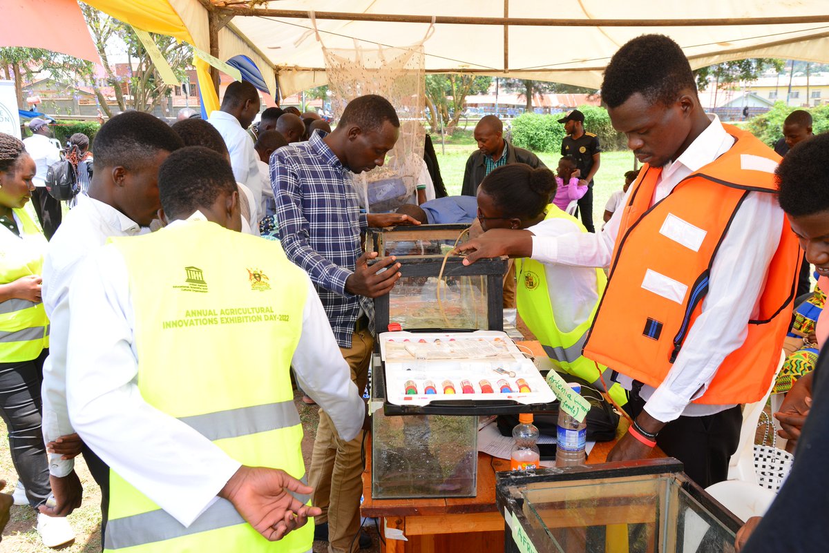 MbararaUST's tweet photo. Agricultural Innovators from MUST, BSU, Traders' Associations, and farming groups within and outside Mbarara successfully showcased their agricultural innovations during the First Annual Agricultural Innovations Exhibition.
#mustagricinnovations22
#MUSTUPDATES22 https://t.co/7zkeMKUaXr