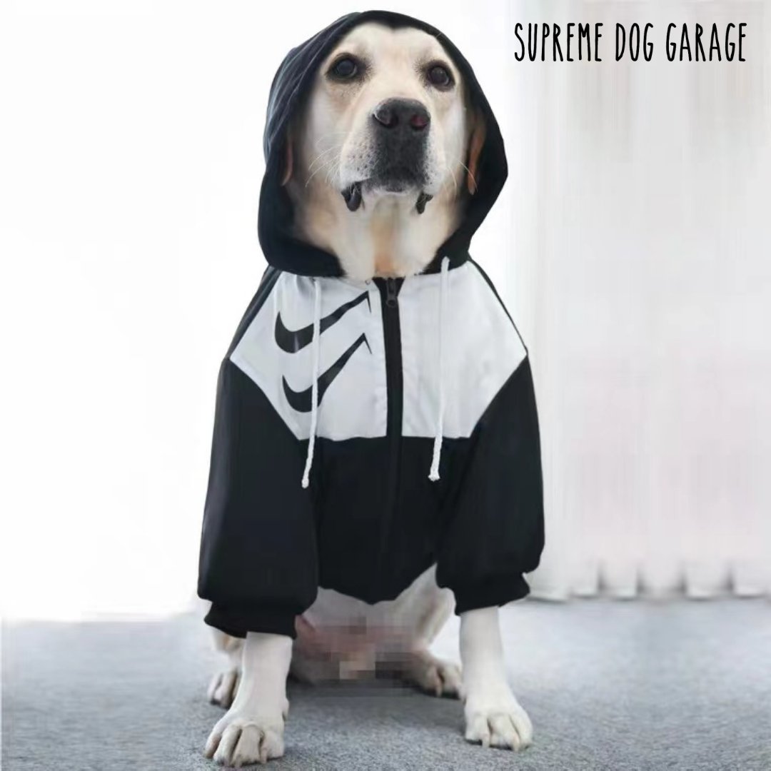 SDGShop's tweet photo. Always bring your hoodie game wherever you go! 💯🐾⁠

Follow @SDGShop 💘⁠

Get your dog windbreaker here 👉 https://t.co/Qba576AM5G

#supremedoggarage #nike #nikedog #dogjacket #dogjackets #dogwindbreaker #dograincoat #dogstyle #dogclothes #dogswag #dogapparel #dogoftheday https://t.co/DCTIOSPCt4