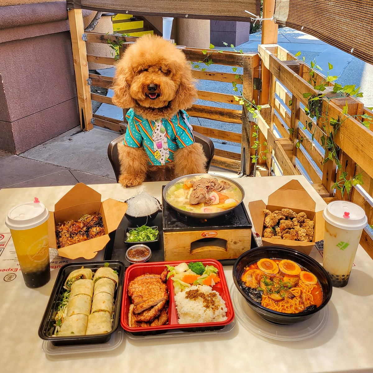 teamtenrens's tweet photo. Fridays are meant for feasting 🍱  What's your favorite dish you see on this spread? Let us know in the comments 👇 

📍 We're open for dine in and takeout 
✔️ Click link in bio to ORDER NOW

📸 : @bowserkoopaha https://t.co/pE4AWW3Hqi