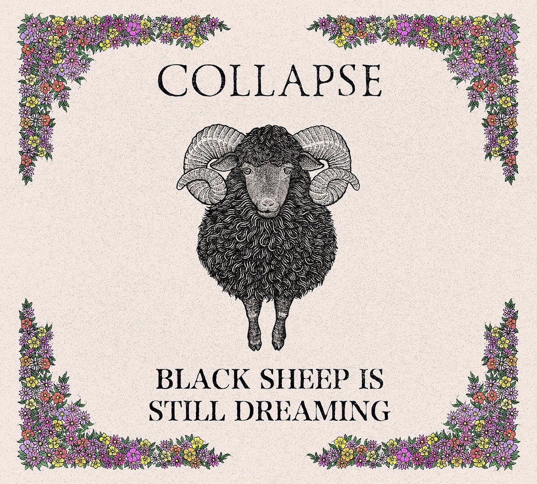 disappearingrec's tweet photo. Available now! Limited US-Edition CD! #shoegaze #japan #indie #music #cassette #mybloodyvalentine #sheep https://t.co/jp9Ywn6yMl