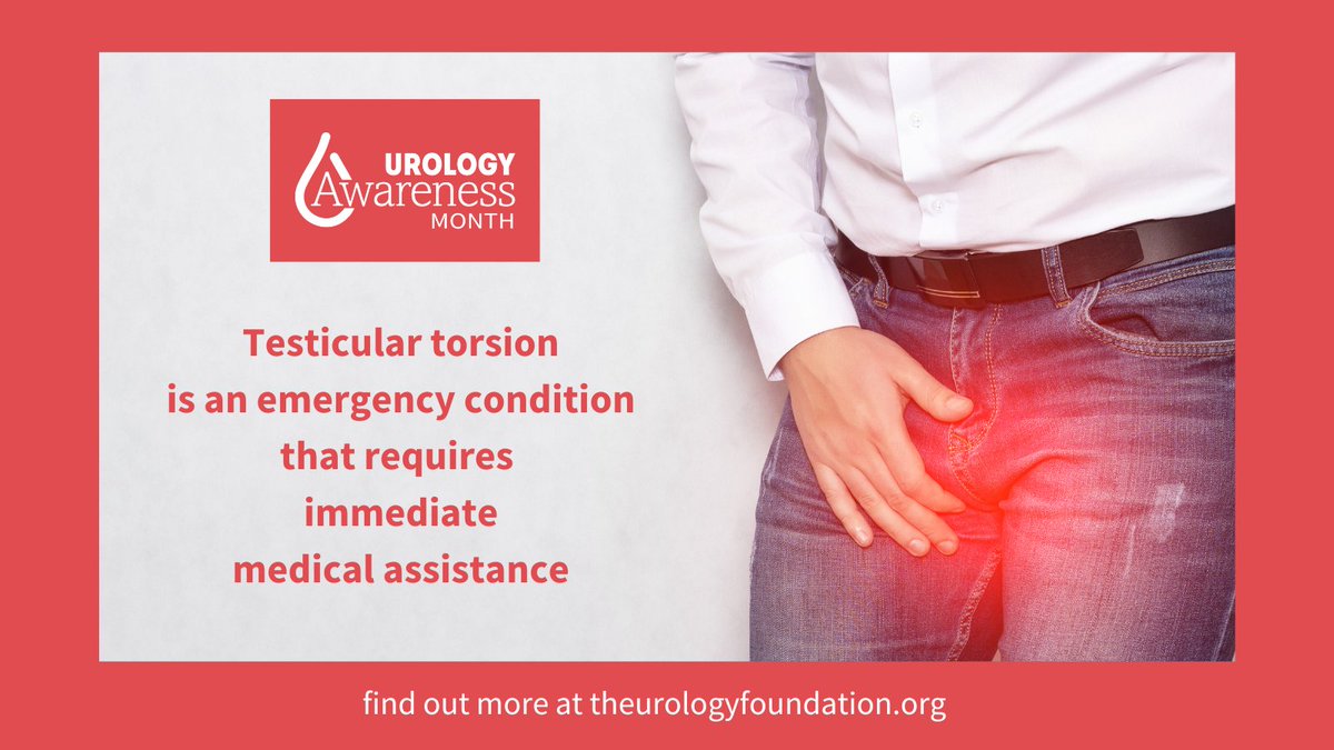 TUF_tweets's tweet photo. Testicular torsion, most common in younger men, is an emergency condition that can threaten the life of the organ. It is important that all men are aware of the symptoms and seek immediate medical assistance.   Find out more at https://t.co/M6vgQXRG6m #urologyhealth #UAM22 #TUF https://t.co/LjmbWJBGwy