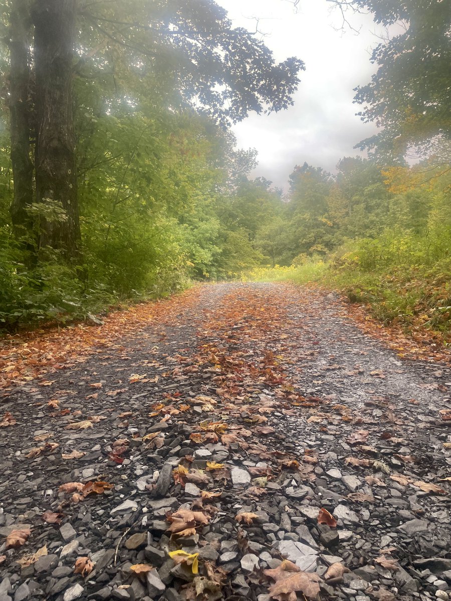 Fall is official and colors are in the early stages. Recent rains will bring a key ingredient to the mix, but conditions can change quickly so don't miss any chance to get out and enjoy the show! Read this week's foliage report at vermontvacation.com/fall-foliage-r…
#WorldsBestFoliage