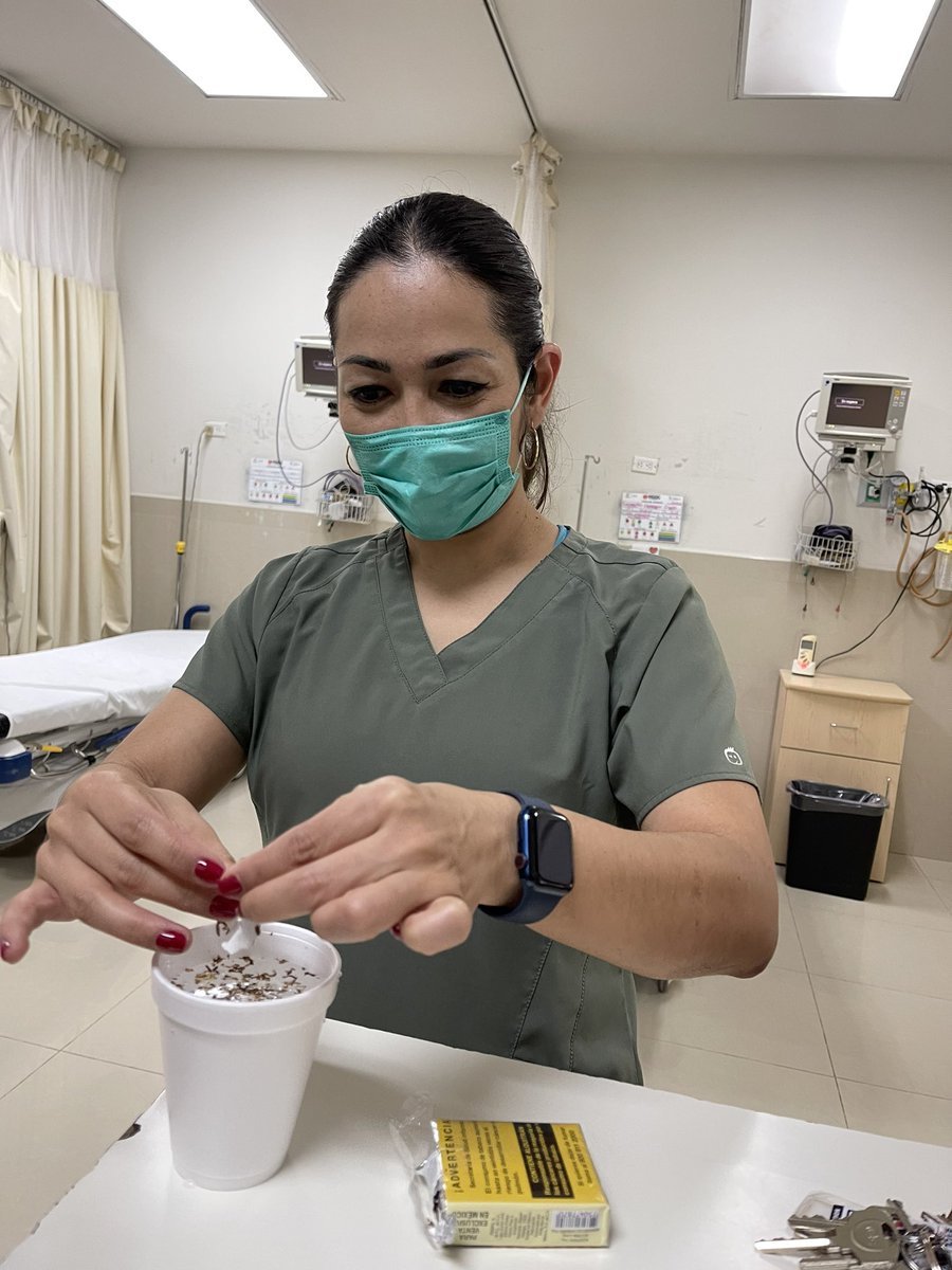 RMOlivaGuevara's tweet photo. Primer agua de tabaco que preparo para una miasis (genital y en cavidad uterina (por óbito)… 
La vdd, sólo lo había leído en los libros, pero nunca lo había hecho (ya sé, me falta barrio hospitalario, pero qué le hace, siempre hay una primera vez…😌) https://t.co/jJAOZ3dIhV