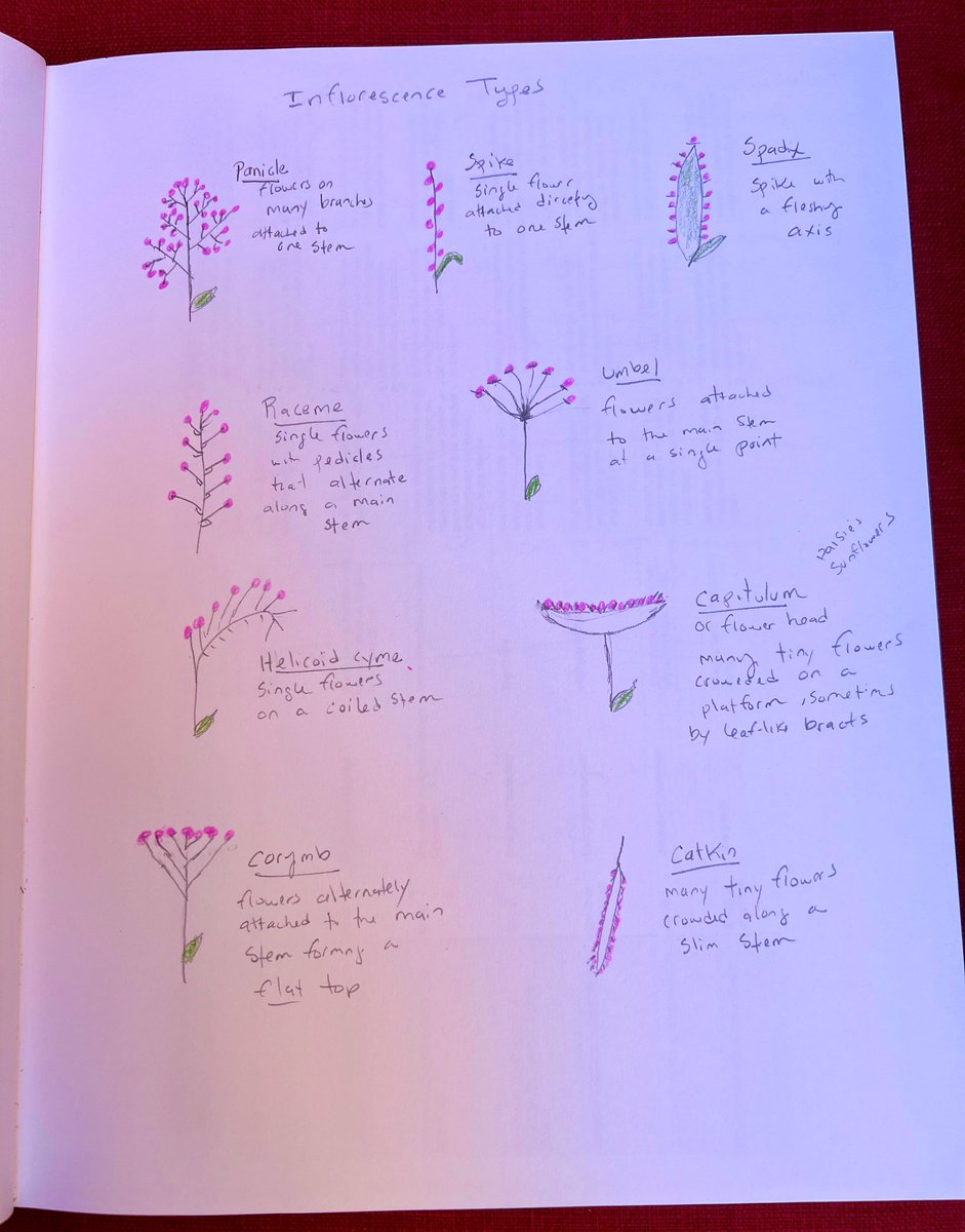 Cabrillo National Monument tweet media