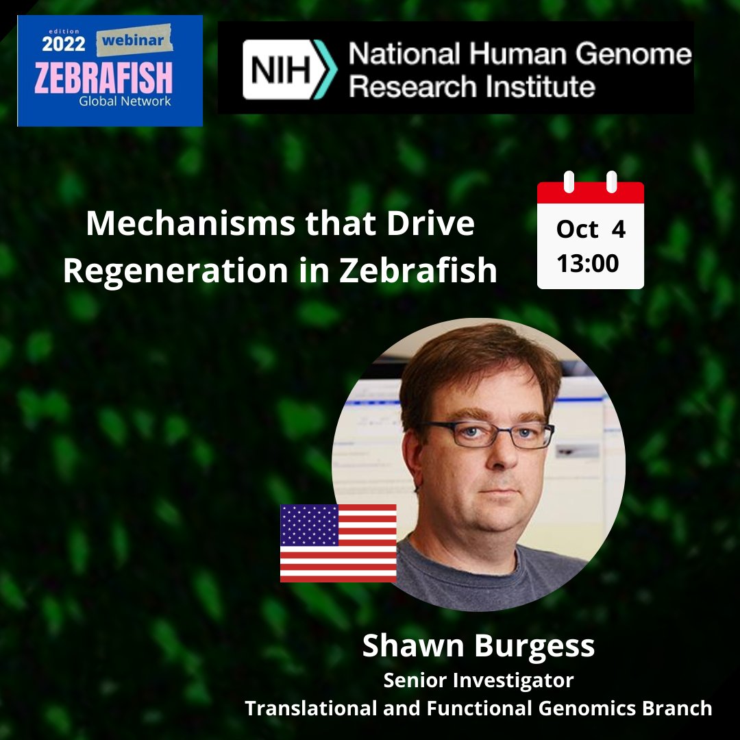 Save the date! Free #webinarzebrafish on October 3-7 
New speaker confirmed:@SMBurgessLab

Don't forget to register 👇🏽 It's free  webinarzebrafish.com
Panel of speakers this year is bigger and better