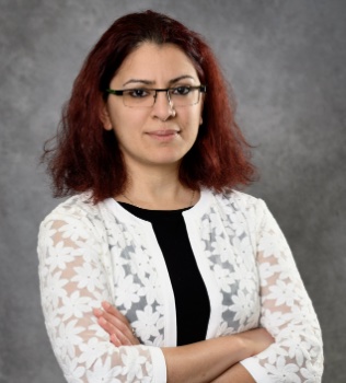 Congratulations to Dr. Ripla Arora, PhD, the recipient of the Jean P. Schultz Research Award. Dr. Arora is an assistant professor in the Dept. of Ob/Gyn and Reproductive Biol. at  MSU, and an outstanding member of the Institute for Quantitative Health Science and Engineering.
