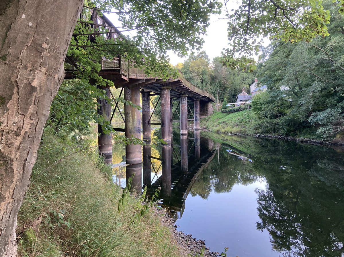 hadnock's tweet photo. A perfect autumn evening. The river is low and clearer; the crowfoot is growing again in bright green clumps. #redbrook #wyevalley #wye https://t.co/VoHuDfsovo