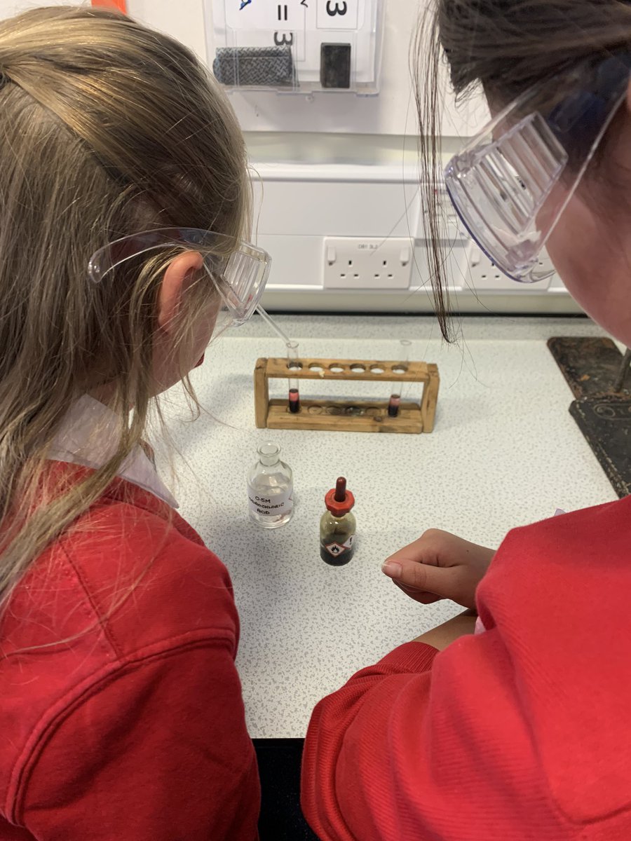 MissWrightScience tweet media