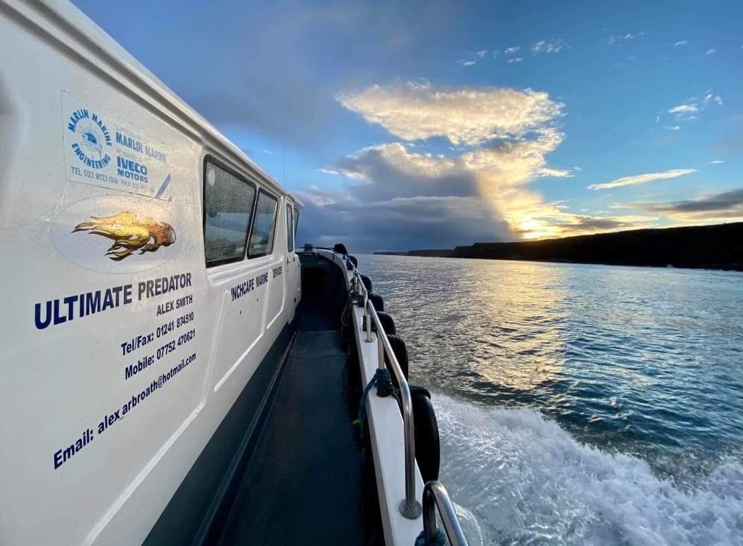 On Weds 28th Sept from 12-3pm you can join geologists for a boat trip along the Angus Coast! You'll see some spectacular views of the Devonian Old Red Sandstone &amp; find out about the processes that lead to its formation. More details &amp; booking here - scottishgeologytrust.org/event/boat-tri…