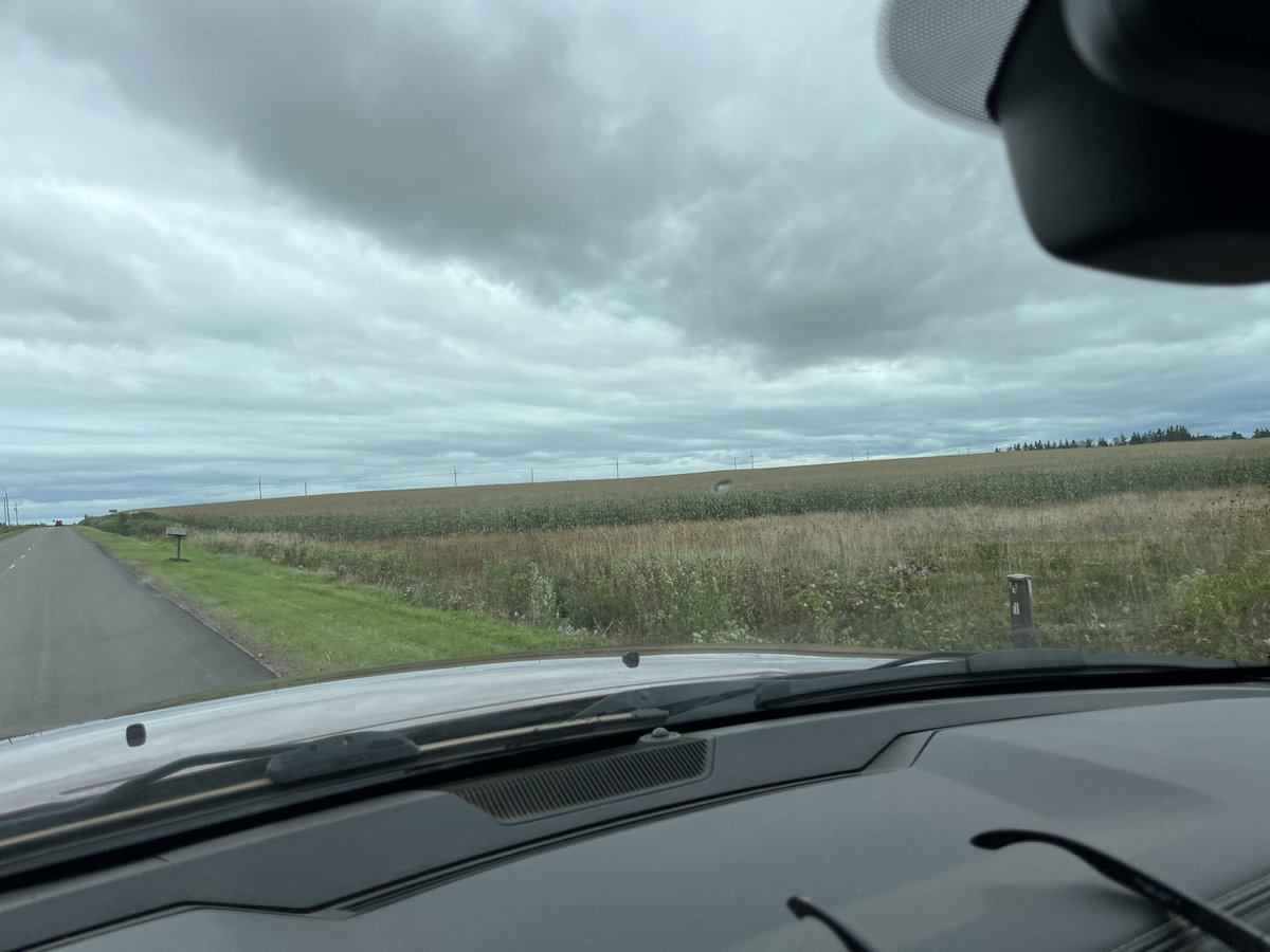 Hoping the corn survives this storm.  🤞🏻. Best of luck to everyone