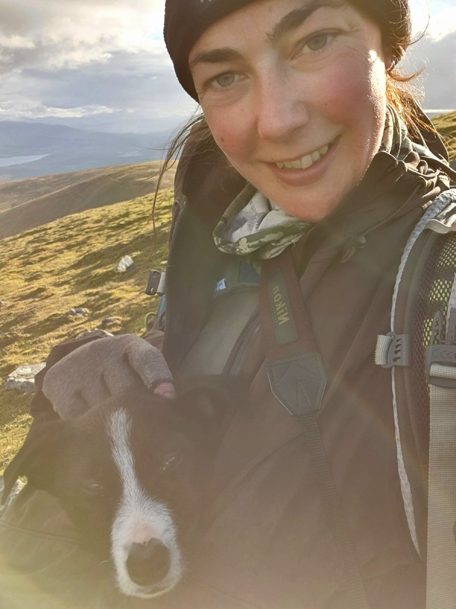 Deer diary: Sun getting low on my last ever transect day. Bittersweet because it's been an absolute privilege to walk these hills and call it work, but also my legs are tired, my knees hurt and I'm cold.