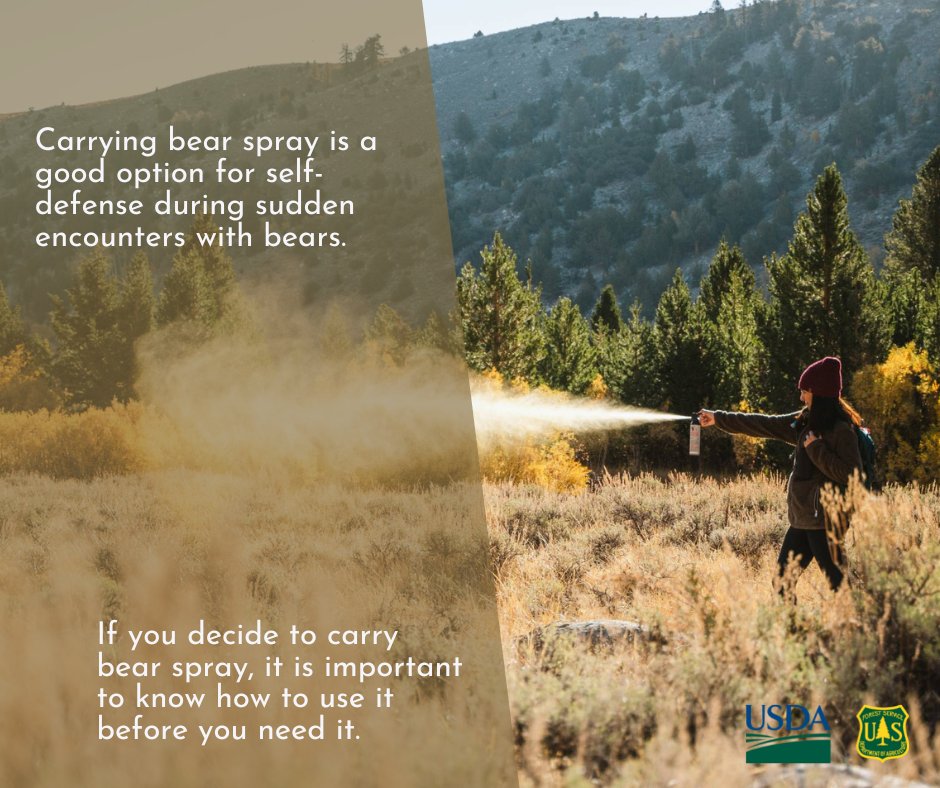 ShoshoneNF's tweet photo. Are you planning to visit the #ShoshoneNF or a neighboring national forest this fall? It is important to plan ahead! Bears are in the #hyperphagia stage and are eating as many calories as possible this time of year, so you may come upon a bear in numerous places! #KnowBeforeYouGo https://t.co/TIc0Q3vH1t