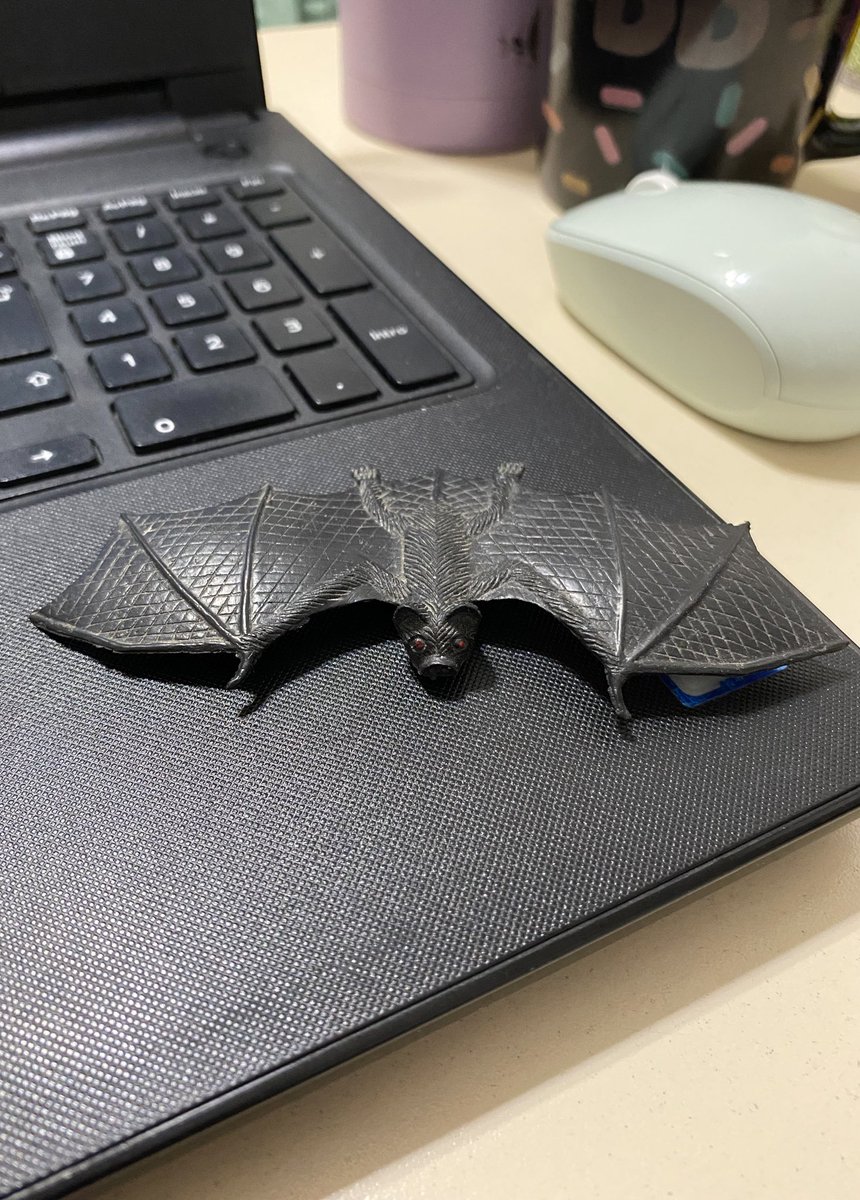 estherarlethem's tweet photo. el 🦇 que tengo // el 🦇 que quisiera tener https://t.co/TtT45jOzYh