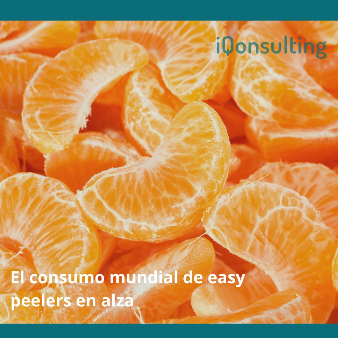 #iNews: el consumo general de easy peelers (mandarinas, tangerinas, clementinas, satsumas) va en aumento y se estima que va a sobrepasar el consumo de naranjas en Estados Unidos🍊