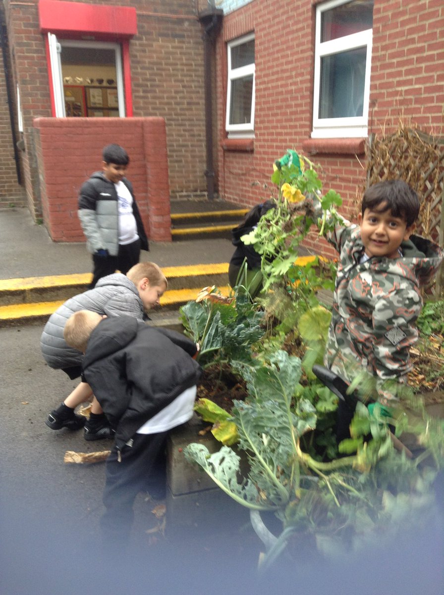 FlanshawJIN's tweet photo. In gardening club this week we welcomed our new members. We made a start on clearing the raised garden beds and preparing them for winter #activeants #successinlife https://t.co/LJuGRNSg35