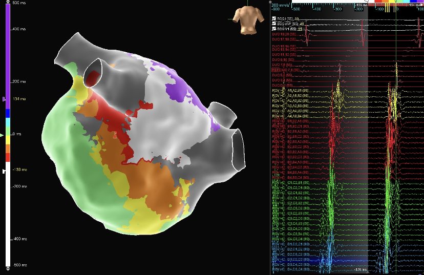 Meghan Philpot tweet media
