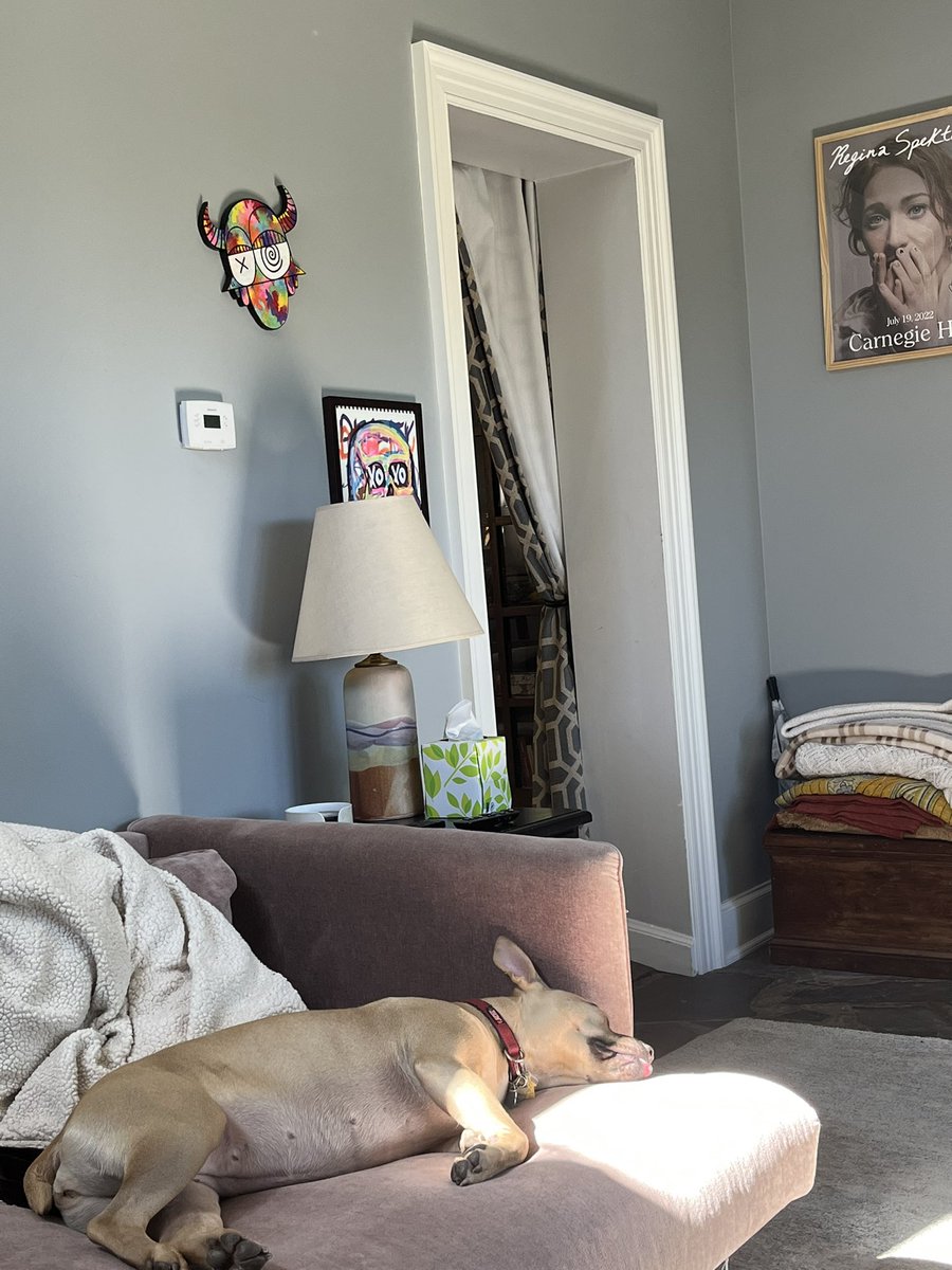 Michael Kasdan tweet media