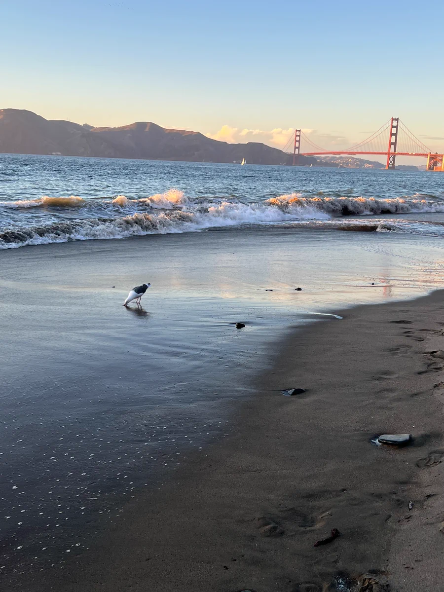 Beach view with Golden Gate Bridge in the background